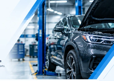 We Service All Major Car Brands